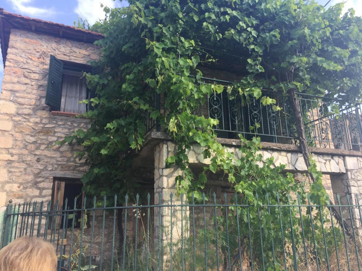 Kesemi Daire Kalavryta Dış mekan fotoğraf